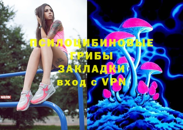 прущие грибы Балабаново