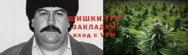 прущие грибы Балабаново
