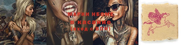 прущие грибы Балабаново