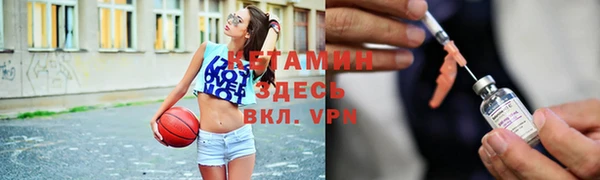 прущие грибы Балабаново