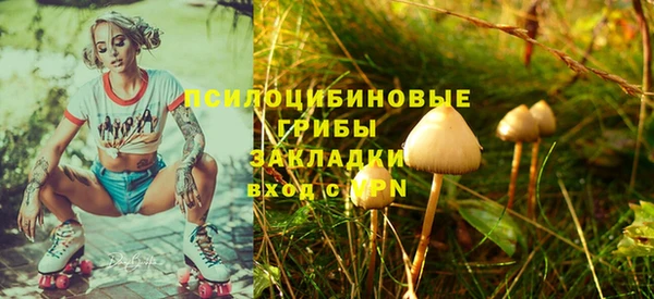 не бодяженный Санкт-Петербург