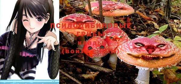метадон Балахна