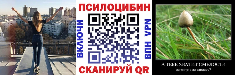 что такое наркотик  Белая Калитва  Псилоцибиновые грибы Magic Shrooms 