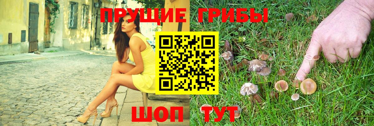 Белая Калитва  Псилоцибиновые грибы ЛСД  Вход с VPN 