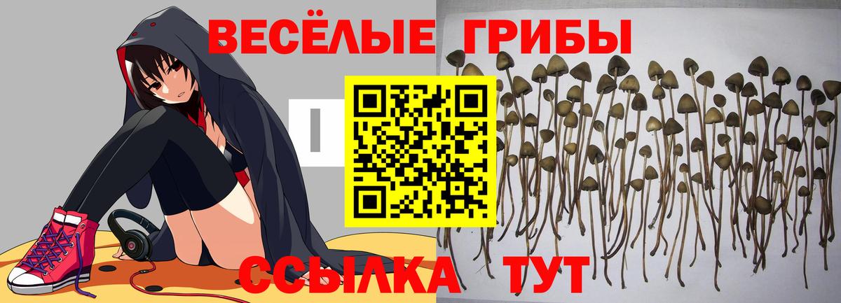 Лсд 25  МАРИХУАНА  Бошки Шишки  Белая Калитва  Гашиш  МЕФ кристаллы  Вход с VPN 