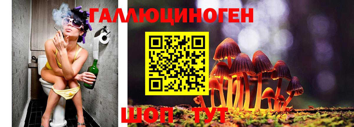 Галлюциногенные грибы ЛСД Белая Калитва